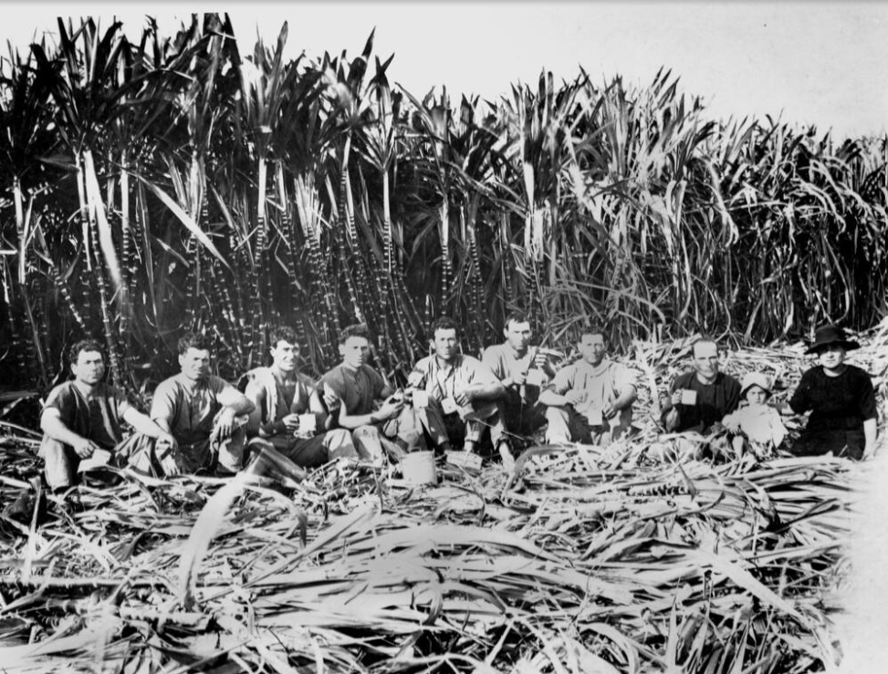 Sicilian Emigration to Australia, Part 1: The “Canecutters” of Queensland